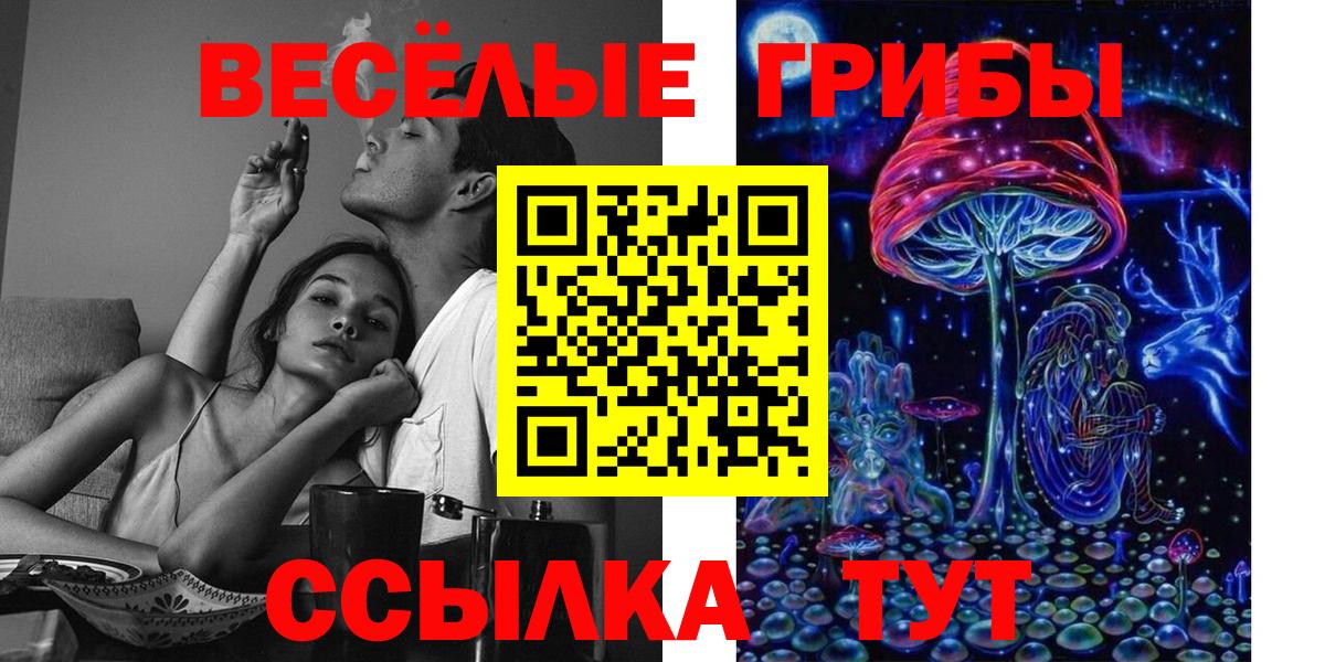 Псилоцибиновые грибы мицелий  Вход с VPN  Галлюциногенные грибы Psilocybe  Новодвинск 