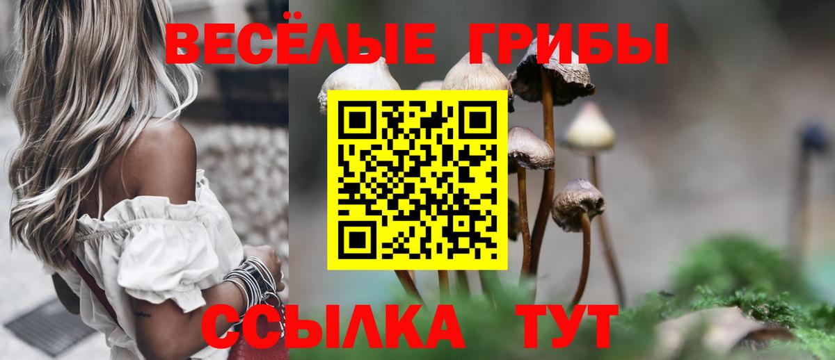 Псилоцибиновые грибы GOLDEN TEACHER Новодвинск